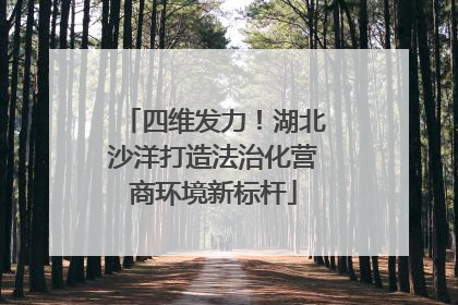 四维发力！湖北沙洋打造法治化营商环境新标杆
