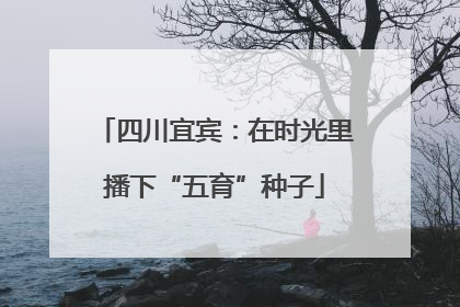 四川宜宾：在时光里播下“五育”种子