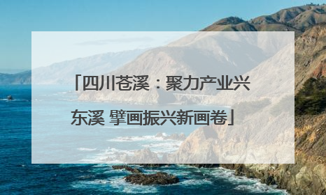 四川苍溪：聚力产业兴东溪 擘画振兴新画卷