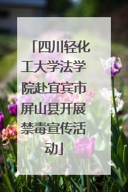 四川轻化工大学法学院赴宜宾市屏山县开展禁毒宣传活动