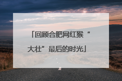 回顾合肥网红猴“大壮”最后的时光