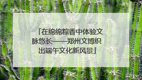 在绵绵粽香中体验文脉悠长——郑州文博织出端午文化新风景