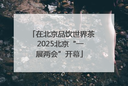 在北京品饮世界茶 2025北京“一展两会”开幕