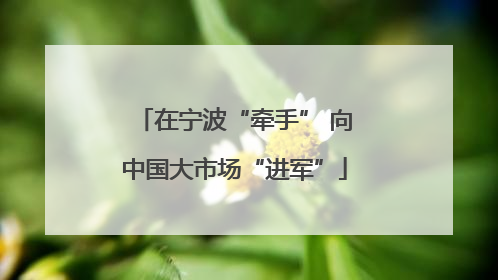在宁波“牵手” 向中国大市场“进军”