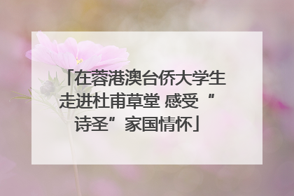 在蓉港澳台侨大学生走进杜甫草堂 感受“诗圣”家国情怀