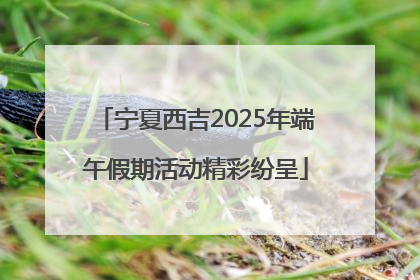 宁夏西吉2025年端午假期活动精彩纷呈