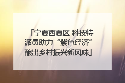 宁夏西夏区 科技特派员助力“紫色经济”酿出乡村振兴新风味