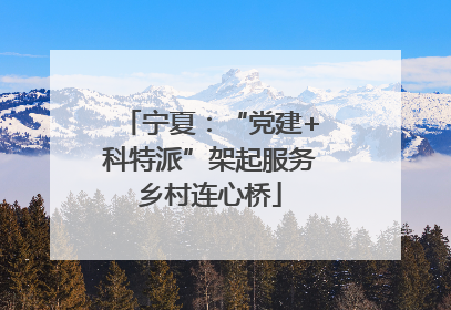 宁夏：“党建+科特派”架起服务乡村连心桥