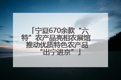 宁夏670余款“六特”农产品亮相农展馆 推动优质特色农产品“出宁进京”