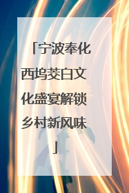 宁波奉化西坞茭白文化盛宴解锁乡村新风味