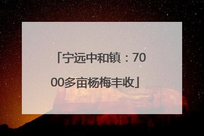 宁远中和镇：7000多亩杨梅丰收