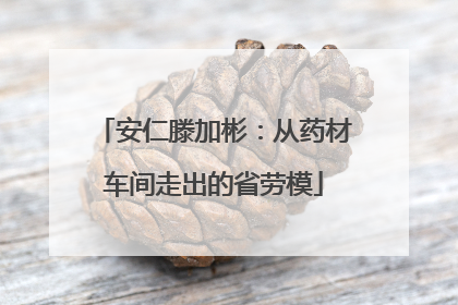 安仁滕加彬：从药材车间走出的省劳模