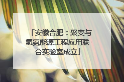 安徽合肥：聚变与氢氨能源工程应用联合实验室成立
