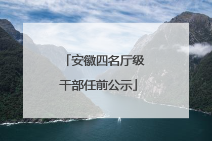 安徽四名厅级干部任前公示