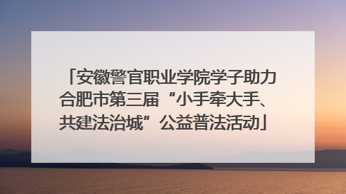安徽警官职业学院学子助力合肥市第三届“小手牵大手、共建法治城”公益普法活动