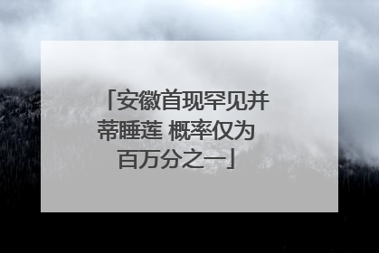 安徽首现罕见并蒂睡莲 概率仅为百万分之一