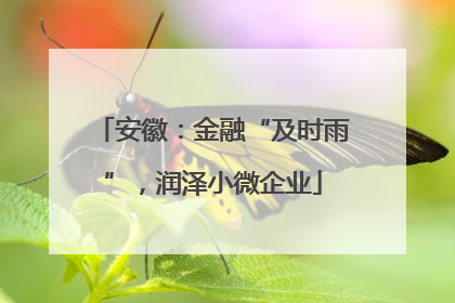 安徽：金融“及时雨”，润泽小微企业