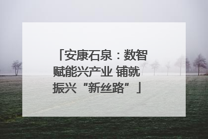 安康石泉：数智赋能兴产业 铺就振兴“新丝路”