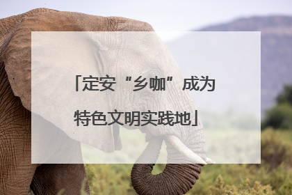 定安“乡咖”成为特色文明实践地