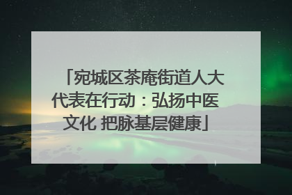 宛城区茶庵街道人大代表在行动：弘扬中医文化 把脉基层健康