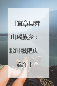宜章县莽山瑶族乡：粽叶糍粑庆端午