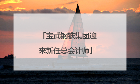 宝武钢铁集团迎来新任总会计师