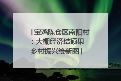 宝鸡陈仓区南阳村：大棚经济结硕果 乡村振兴绘新图