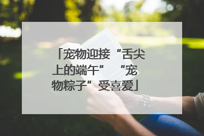 宠物迎接“舌尖上的端午” “宠物粽子”受喜爱