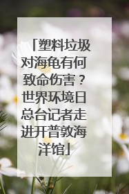 塑料垃圾对海龟有何致命伤害？世界环境日总台记者走进开普敦海洋馆