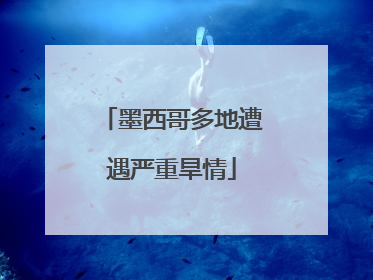 墨西哥多地遭遇严重旱情