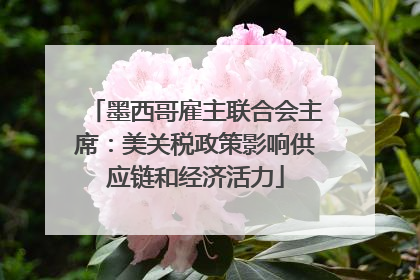 墨西哥雇主联合会主席：美关税政策影响供应链和经济活力
