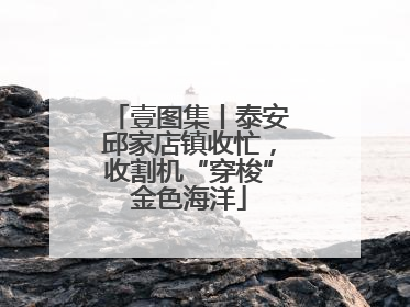 壹图集丨泰安邱家店镇收忙，收割机“穿梭”金色海洋