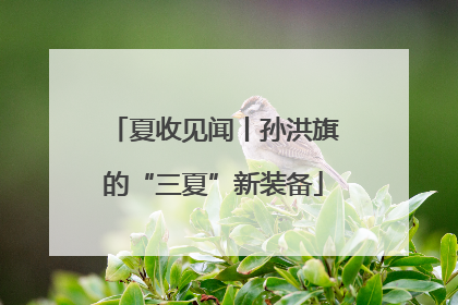 夏收见闻丨孙洪旗的“三夏”新装备