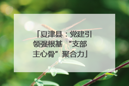 夏津县：党建引领强根基 “支部主心骨”聚合力