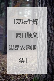 夏耘生辉｜夏日顺义满是农趣期待