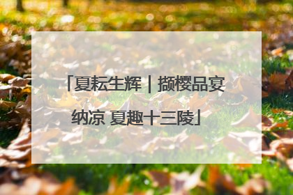 夏耘生辉｜撷樱品宴纳凉 夏趣十三陵