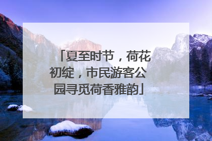 夏至时节，荷花初绽，市民游客公园寻觅荷香雅韵
