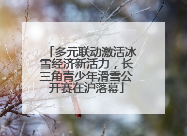 多元联动激活冰雪经济新活力，长三角青少年滑雪公开赛在沪落幕