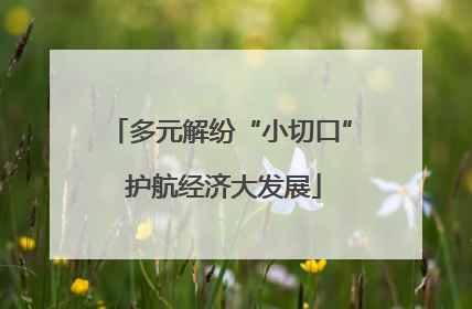 多元解纷“小切口” 护航经济大发展
