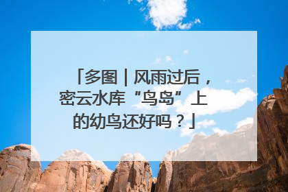 多图｜风雨过后，密云水库“鸟岛”上的幼鸟还好吗？