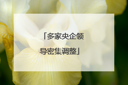 多家央企领导密集调整