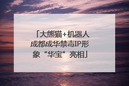 大熊猫+机器人 成都成华禁毒IP形象“华宝”亮相