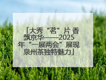 大秀“茗”片 香飘京华——2025年“一展两会”展现泉州茶独特魅力