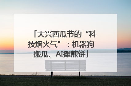 大兴西瓜节的“科技烟火气”：机器狗搬瓜、AI摊煎饼