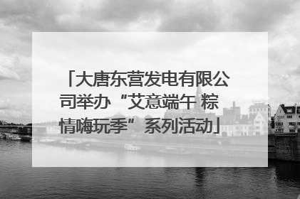 大唐东营发电有限公司举办“艾意端午 粽情嗨玩季”系列活动