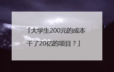 大学生200元的成本干了20亿的项目？