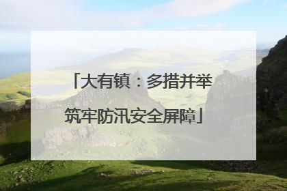 大有镇：多措并举筑牢防汛安全屏障
