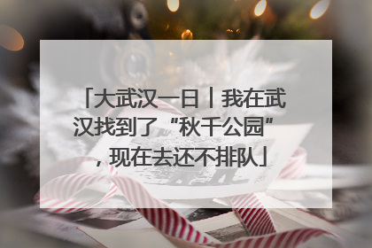 大武汉一日︱我在武汉找到了“秋千公园”，现在去还不排队