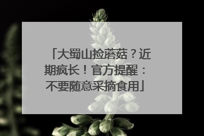 大蜀山捡蘑菇？近期疯长！官方提醒：不要随意采摘食用