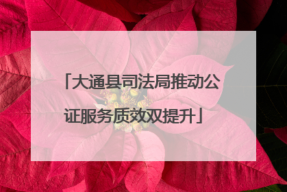大通县司法局推动公证服务质效双提升